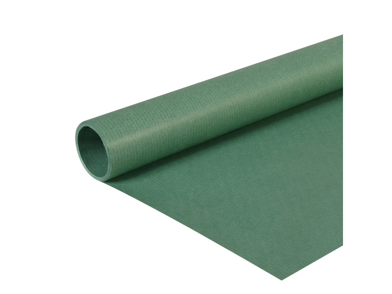 Clairefontaine Papier cadeau 'kraft', vert mousse