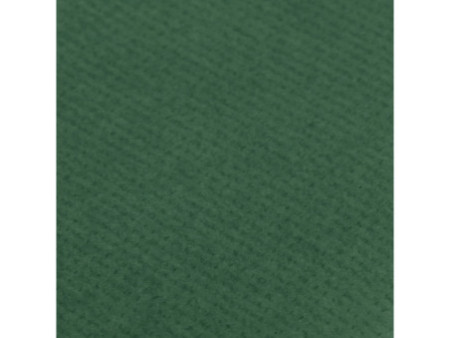 Clairefontaine Papier cadeau 'kraft', vert mousse