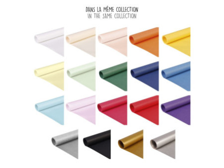 Clairefontaine Papier d'emballage 'Color', 700 mm x 10 m
