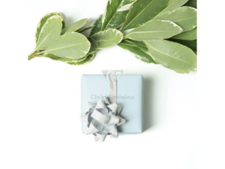 Clairefontaine Papier cadeau 'Tiny Rolls Pastell'