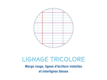 Calligraphe Cahier 8000 POLYPRO, 210 x 297 mm, bleu