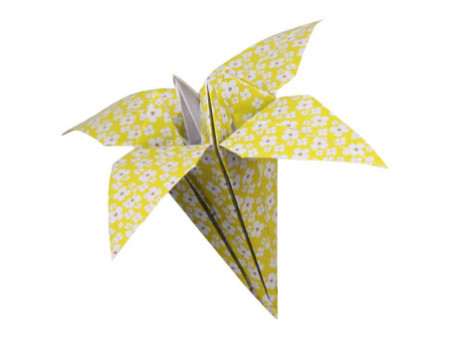 My Mandarine Feuilles à plier Origami Paper 'Flowers'