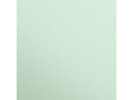 Clairefontaine Papier de couleur 'MAYA', A3, vert menthe