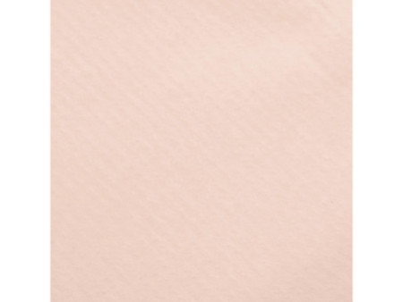 Clairefontaine Papier cadeau 'kraft', pêche