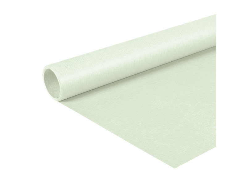 Clairefontaine Papier cadeau 'kraft', vert bourgeon