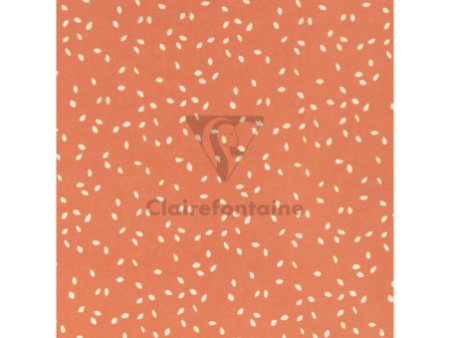 Clairefontaine Papier cadeau 'Tiny Rolls confettis roses'