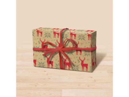 Clairefontaine Papier cadeau de Noël 'Tiny Rolls rennes'