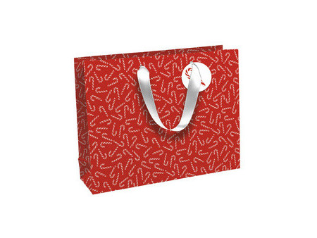 Clairefontaine Sac cadeau de Noël 'Lutins', large
