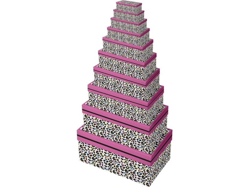 Clairefontaine Set de boîtes cadeau 'Léopard', 10 pièces