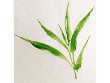 Clairefontaine Bloc de papier aquarelle BAMBOO, 250 g/m2, A4