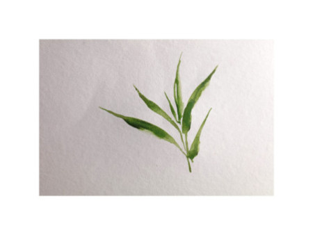 Clairefontaine Bloc de papier aquarelle BAMBOO, 250 g/m2, A3