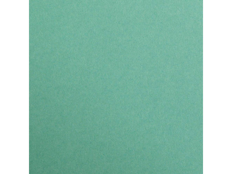 Clairefontaine Papier de couleur 'MAYA', A1, vert sapin