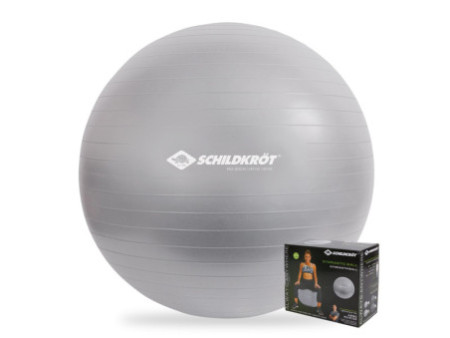 SCHILDKRÖT Ballon de gymnastique, diamètre: 650 mm, argent