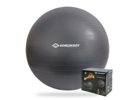 SCHILDKRÖT Ballon de gymnastique, diamètre:750 mm,anthracite