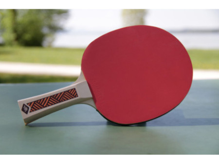 DONIC SCHILDKRÖT Raquette de tennis de table 'Champs Line