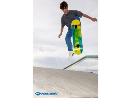 SCHILDKRÖT Skateboard 'Bigflip 31' Splash