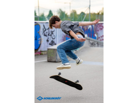 SCHILDKRÖT Skateboard 'Bigflip 31' Splash