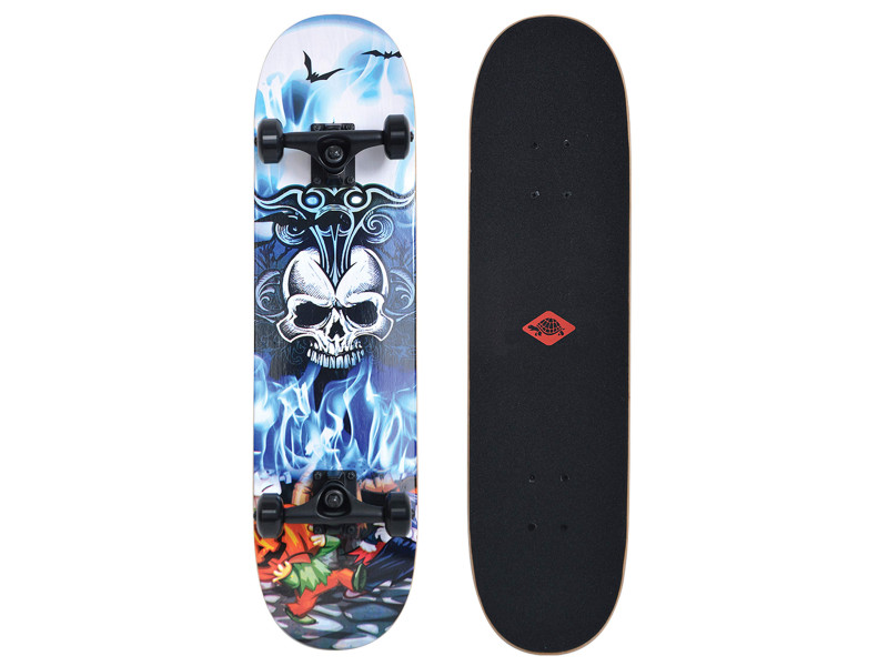 SCHILDKRÖT Skateboard 'Grinder 31' Inferno