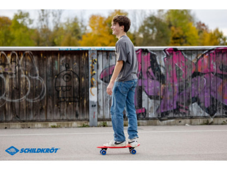 SCHILDKRÖT Skateboard rétro Native Red