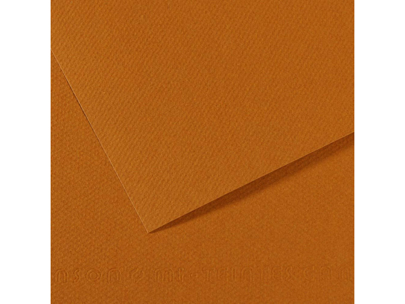 CANSON Papier dessin Mi-Teintes, 500 x 650 mm, havane clair