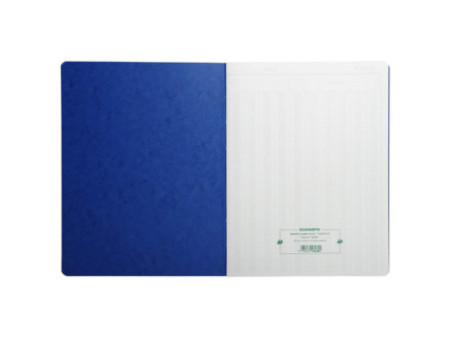EXACOMPTA Piqûre comptable 'Achats', 320 x 250 mm, 80 pages