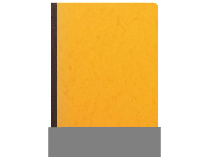 EXACOMPTA Piqûre tête paresseuse, 8 colonnes sur 2 pages