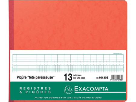 EXACOMPTA Piqûre tête paresseuse, 13 colonnes sur 1 page