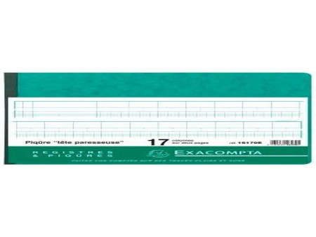 EXACOMPTA Piqûre tête paresseuse, 17 colonnes sur 2 pages,
