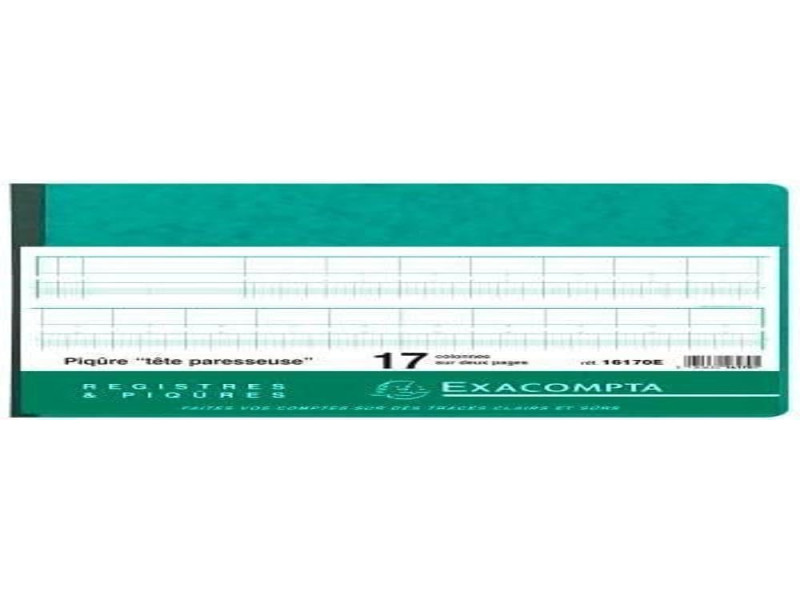 EXACOMPTA Piqûre tête paresseuse, 17 colonnes sur 2 pages,