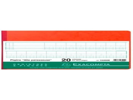 EXACOMPTA Piqûre tête paresseuse, 20 colonnes sur 2 pages