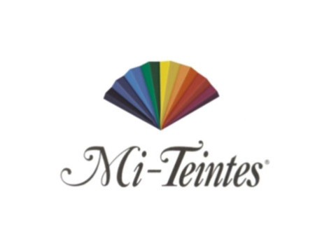CANSON Papier dessin Mi-teintes, 500 x 650 mm, orange