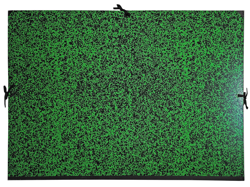 EXACOMPTA Carton à dessin Annonay, 640 x 760 mm, vert