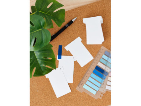 nobo Fiche T, indice 2 / 60 mm, 170 g/m2, blanc