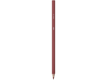 BIC KIDS Crayons de couleur Tropicolors, étui en carton