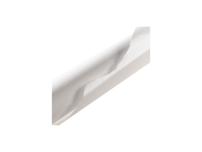 CANSON Papier de soie, 0,5 x 5,0 m, 20 g/m2, blanc