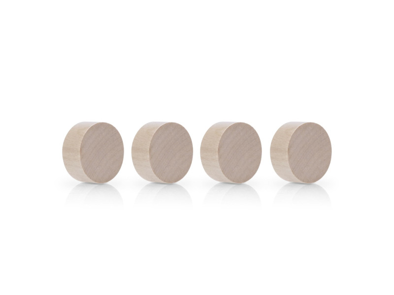 magnetoplan Aimant néodyme Circle Wood Series, bouleau