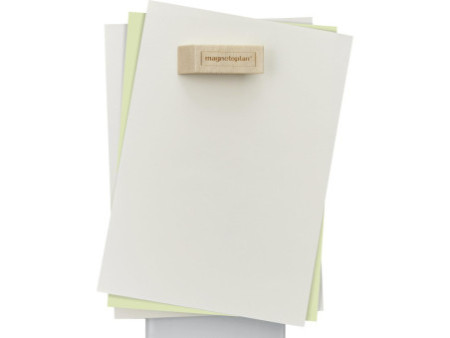 magnetoplan Aimant néodyme Wood Series Design, bouleau