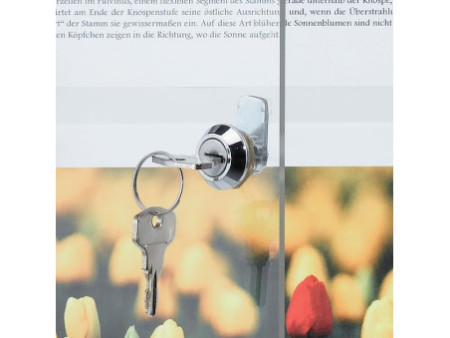 FRANKEN Vitrine d'affichage X-tra!line, 6 x format A4