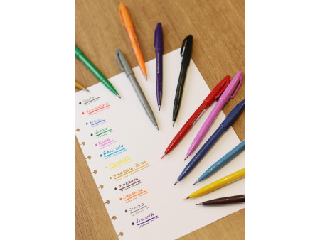 PentelArts Stylo feutre Brush Sign Pen SES 15, vert olive