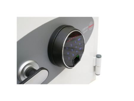 phoenix Coffre-fort pour données DATACARE DS2001F