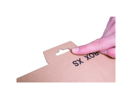 smartboxpro Carton d'expédition MAIL BOX, taille: S, marron