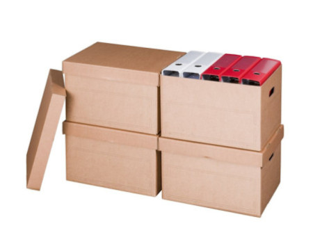 smartboxpro Boîte d'archives/transport, à couvercle, marron