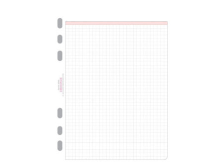 CHRONOPLAN Feuilles quadrillées, A5, 80 g/m2, 50 feuilles