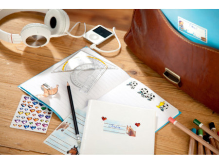 AVERY Zweckform ZDesing Etiquettes pour livres 'but de foot'