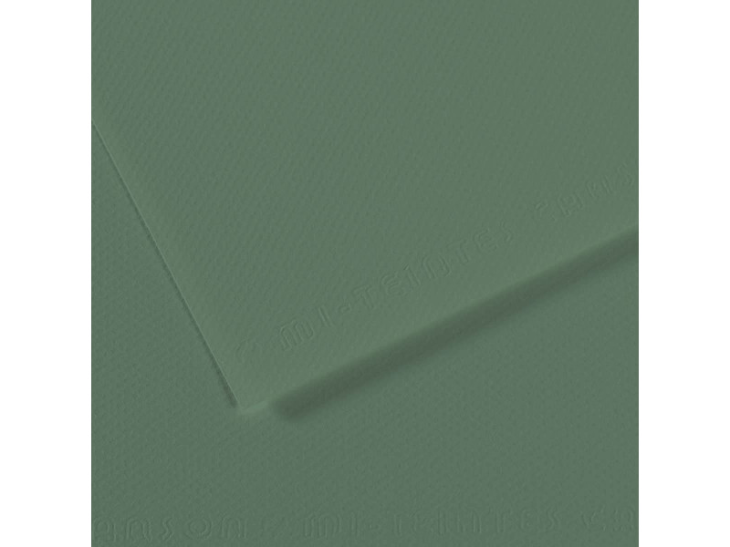 CANSON Papier dessin Mi-Teintes, 500 x 650 mm, sauge