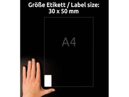 AVERY Zweckform Etiquette congélation, 30 x 50 mm, blanc