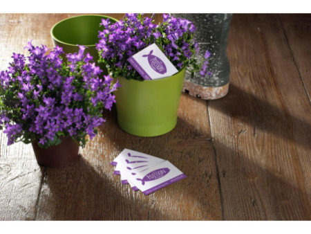 AVERY Cartes de visite Quick&Clean, 200 g/m2, blanc mat