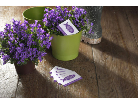 AVERY Cartes de visite Quick&Clean, 240 g/m2, blanc brillant