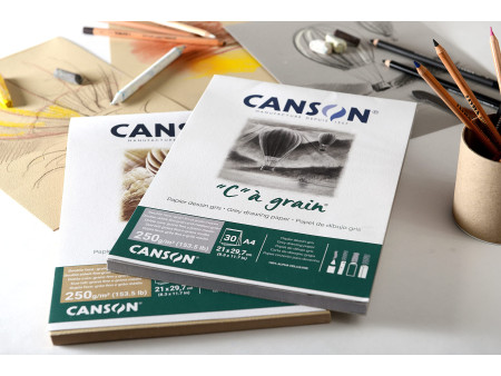 CANSON Bloc papier dessin 'C' à grain Couleur, gris chiné