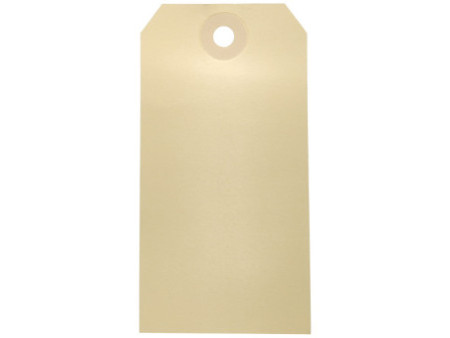 AVERY Etiquettes américaines, 100 x 51 mm, avec fil de fer